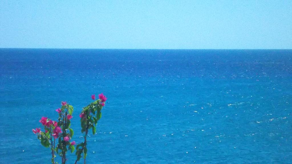Ladikos Beach Hotel Kardamena  Zimmer foto